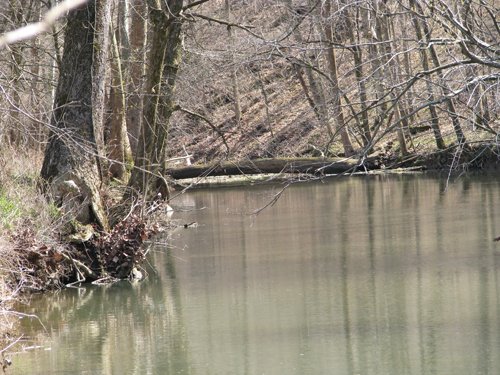 Property photo 11 - 137 Acres in 2 Tracts - 64 Tillable Acres, Potential Building Sites, Hunting